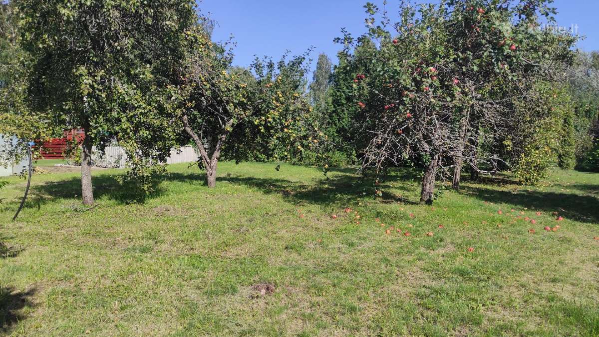 Sodas SB"poilsis" Panevėžio raj. netoli miško - nuotraukos Nr. 6