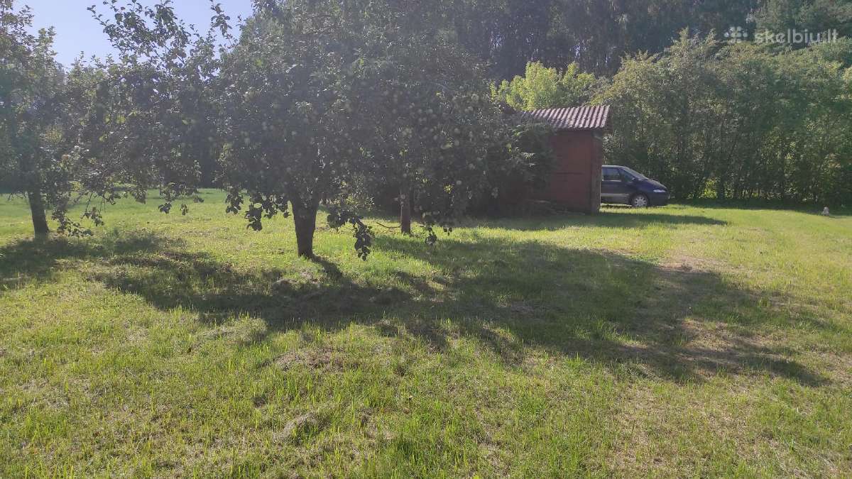 Sodas SB"poilsis" Panevėžio raj. netoli miško - nuotraukos Nr. 7