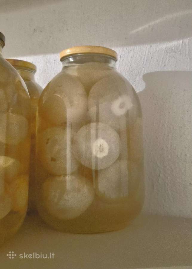 Poniabudės fermentas / žemės taukai / vesiolka - nuotraukos Nr. 2