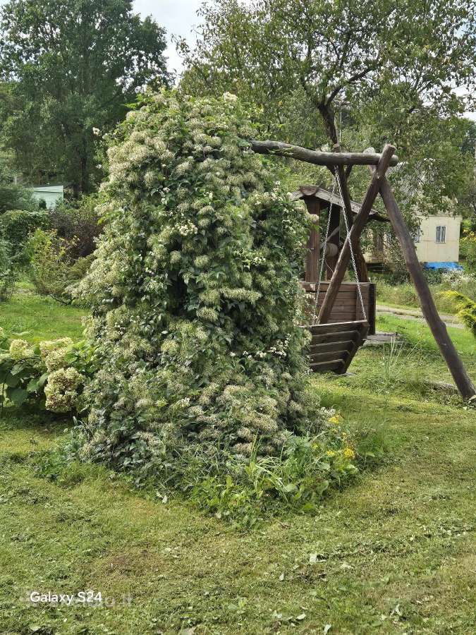 Parduodamas stilingas sodas - nuotraukos Nr. 3