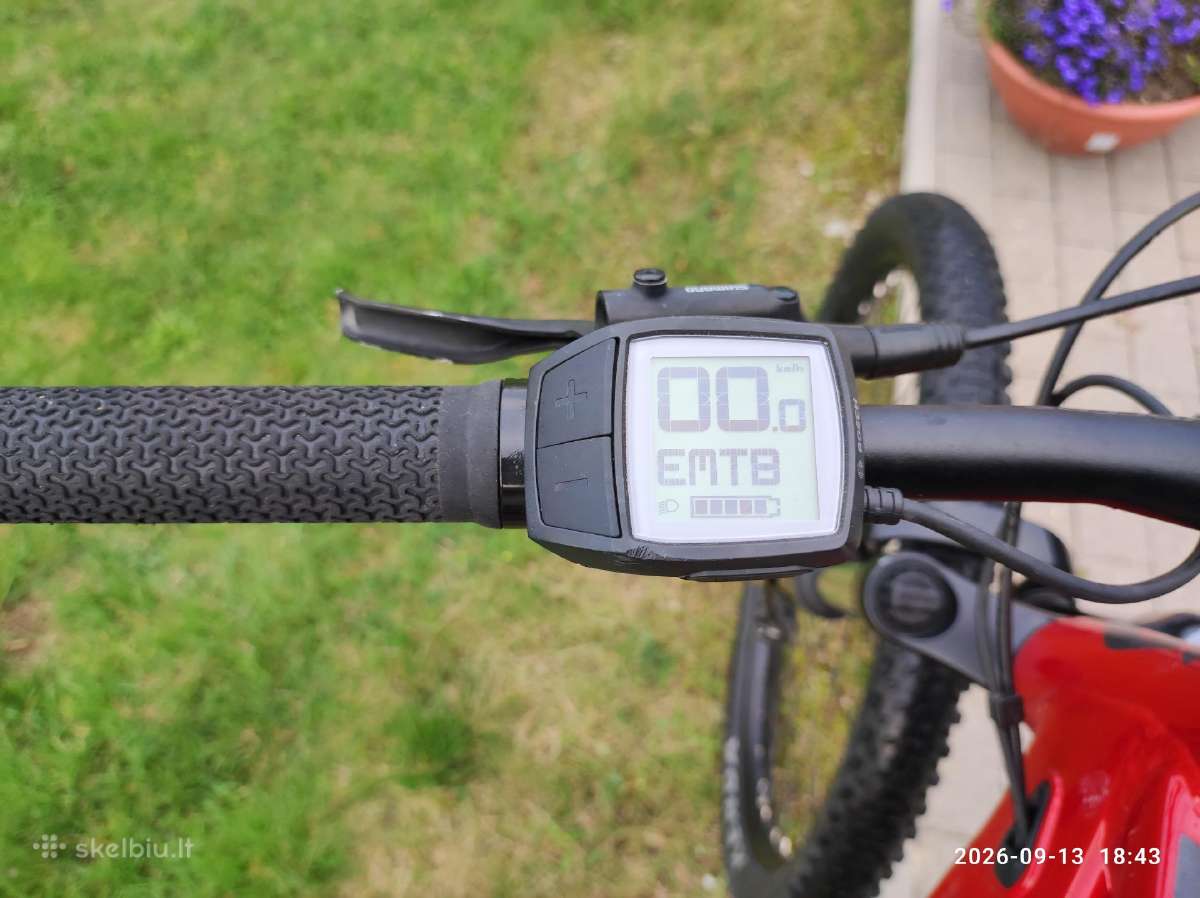 Scott Aspect eride 920 29 ratai XL - nuotraukos Nr. 13