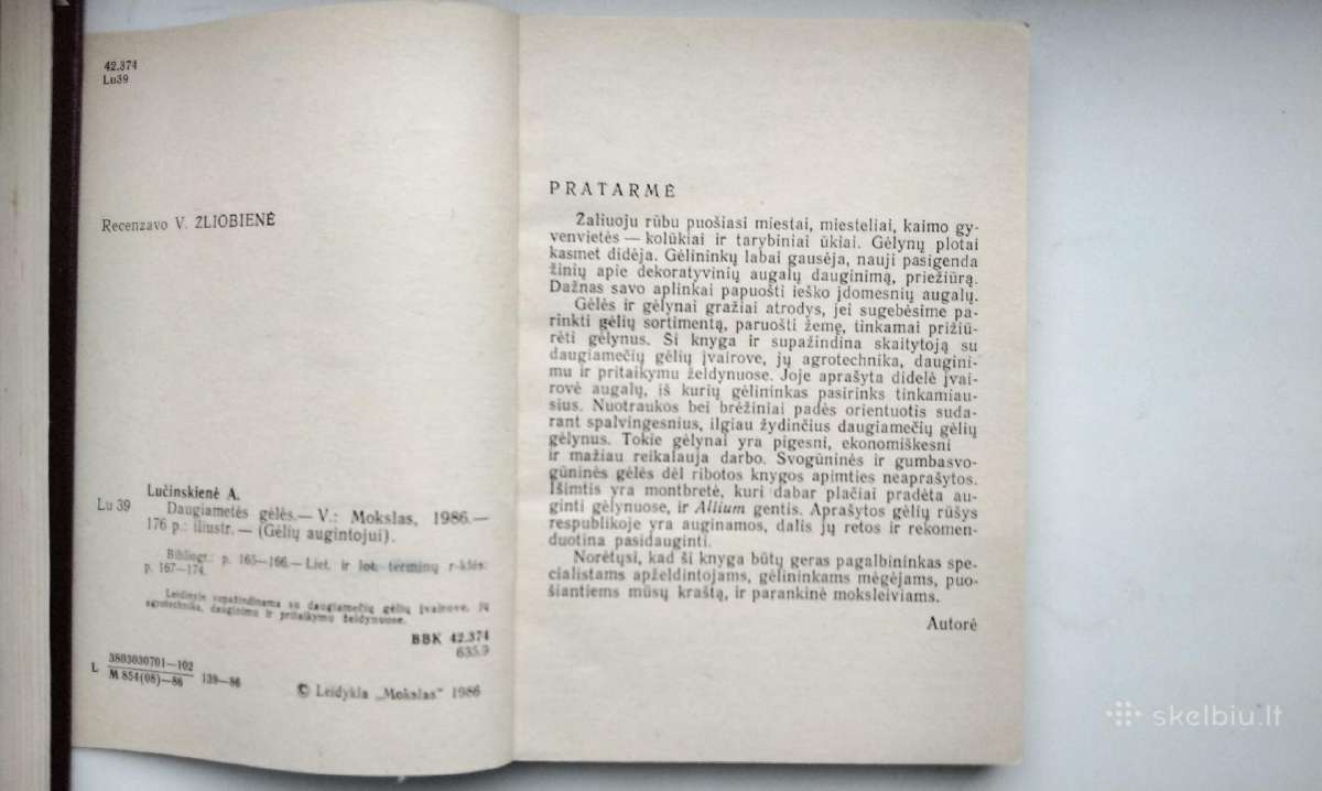 Daugiametės gėlės, Ankstyvosios d, Vazoninės, Flio - nuotraukos Nr. 3