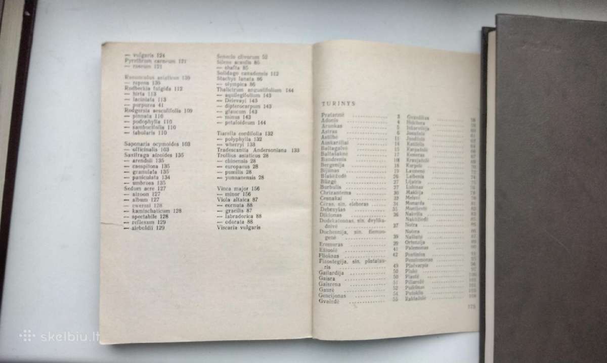 Daugiametės gėlės, Ankstyvosios d, Vazoninės, Flio - nuotraukos Nr. 5
