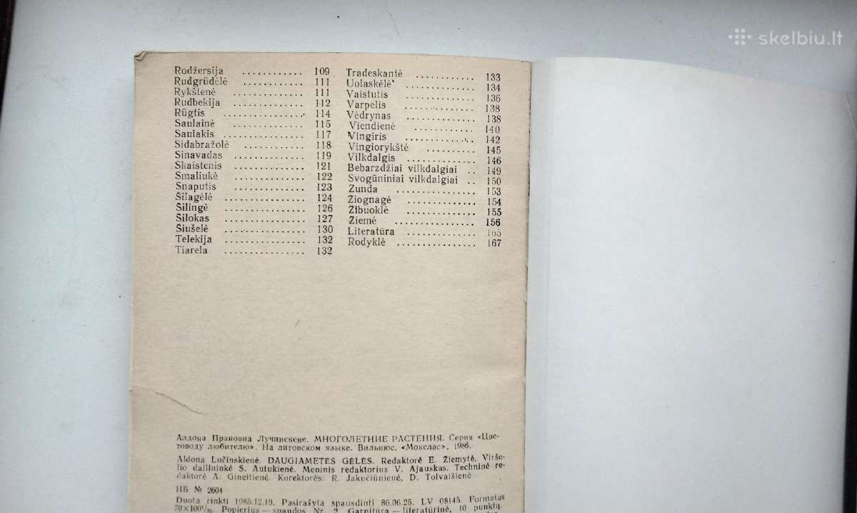 Daugiametės gėlės, Ankstyvosios d, Vazoninės, Flio - nuotraukos Nr. 6
