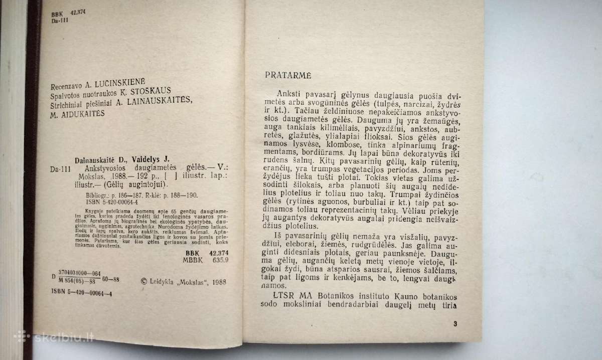 Daugiametės gėlės, Ankstyvosios d, Vazoninės, Flio - nuotraukos Nr. 8