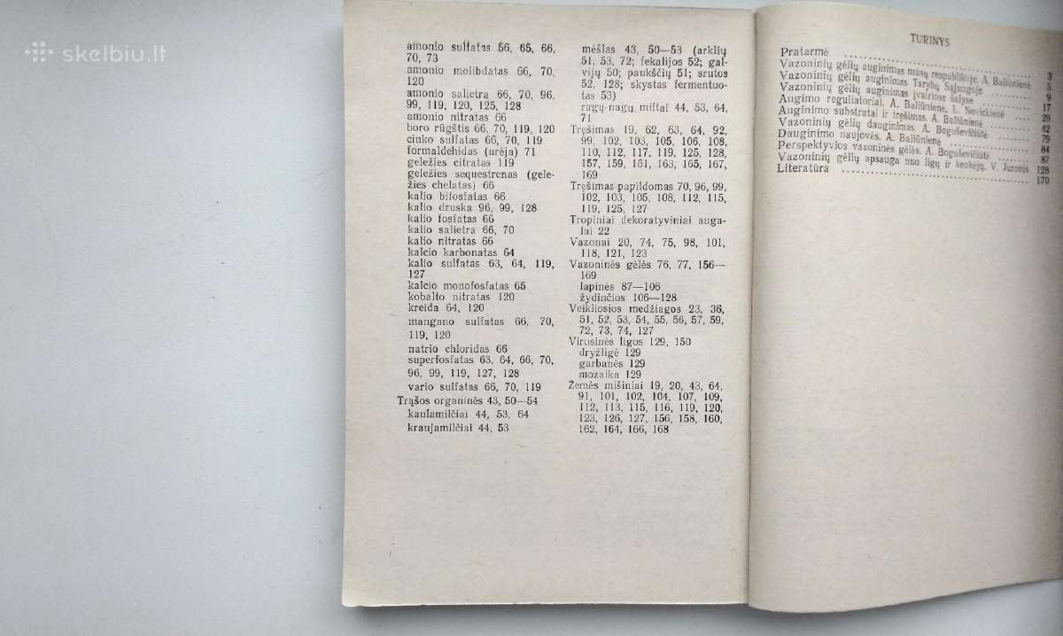 Daugiametės gėlės, Ankstyvosios d, Vazoninės, Flio - nuotraukos Nr. 15