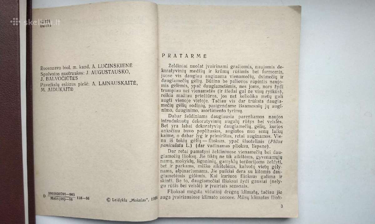 Daugiametės gėlės, Ankstyvosios d, Vazoninės, Flio - nuotraukos Nr. 17