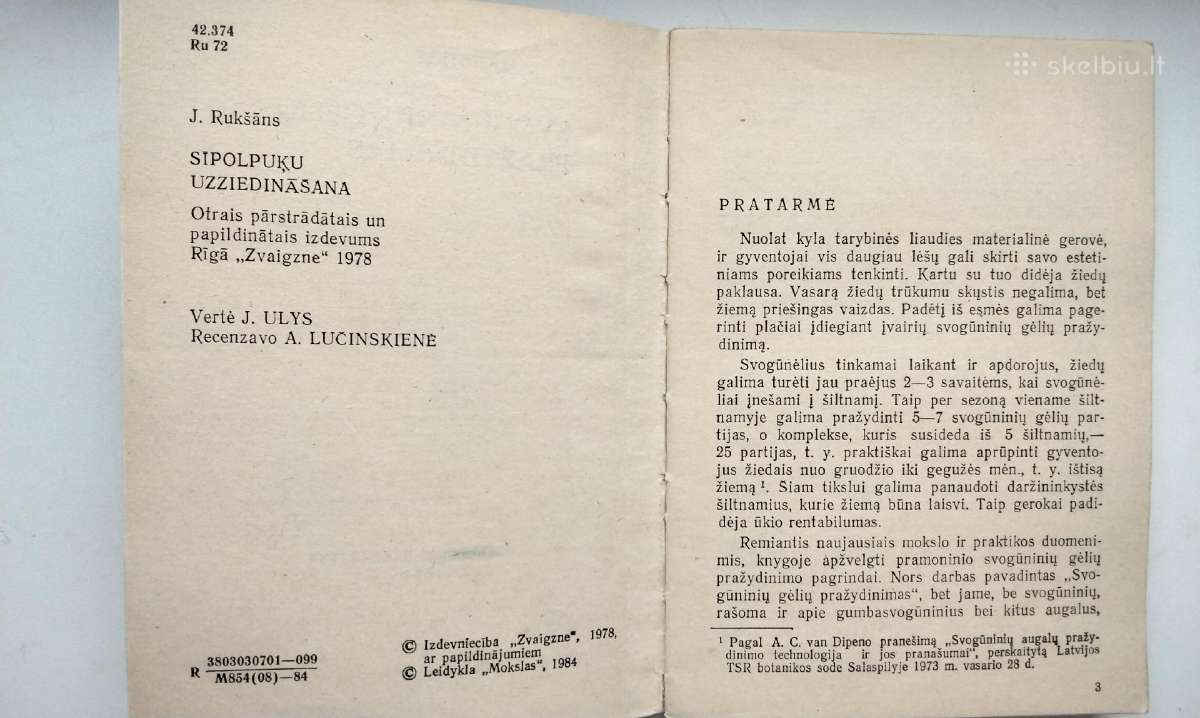 Daugiametės gėlės, Ankstyvosios d, Vazoninės, Flio - nuotraukos Nr. 21