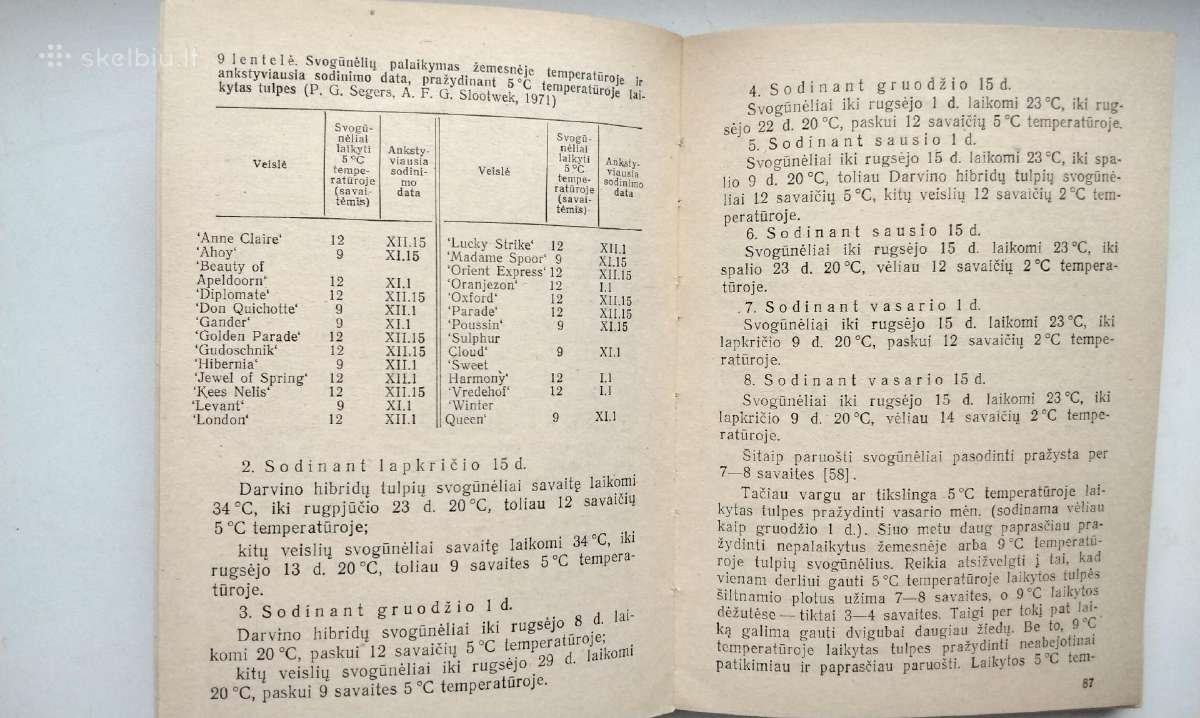 Daugiametės gėlės, Ankstyvosios d, Vazoninės, Flio - nuotraukos Nr. 22