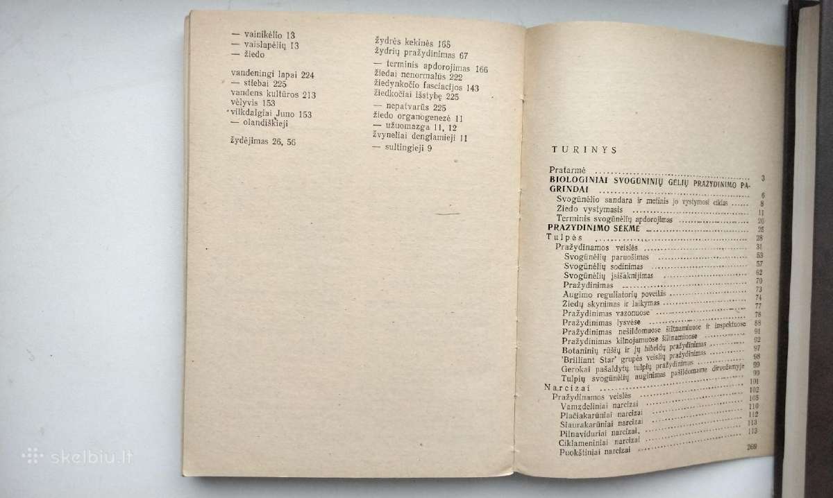 Daugiametės gėlės, Ankstyvosios d, Vazoninės, Flio - nuotraukos Nr. 23