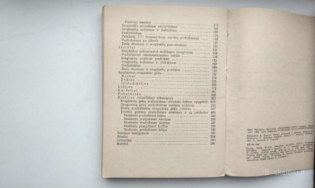 Daugiametės gėlės, Ankstyvosios d, Vazoninės, Flio - nuotraukos Nr. 24