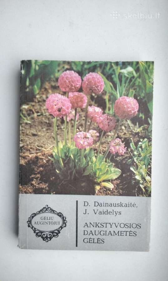 Daugiametės gėlės, Ankstyvosios d, Vazoninės, Flio - nuotraukos Nr. 7