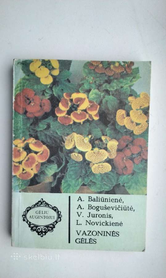 Daugiametės gėlės, Ankstyvosios d, Vazoninės, Flio - nuotraukos Nr. 12