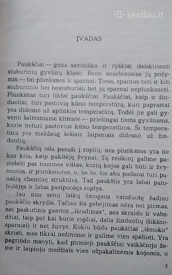 Pasaulio paukščiai - nuotraukos Nr. 3