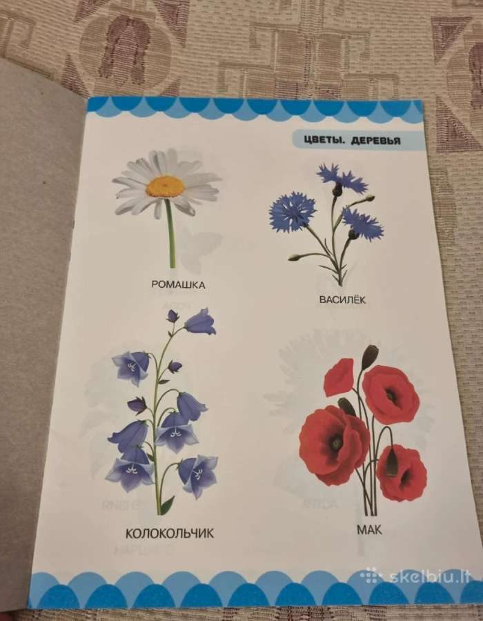 Protingo mažylio knyga . Gėlės , Medžiai - nuotraukos Nr. 2