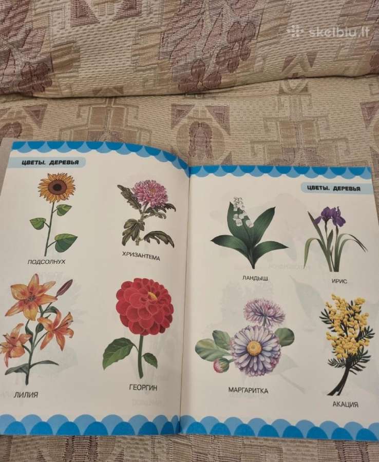 Protingo mažylio knyga . Gėlės , Medžiai - nuotraukos Nr. 3