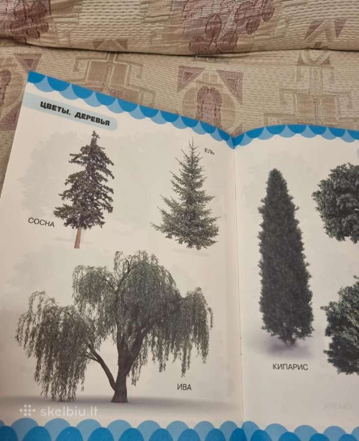Protingo mažylio knyga . Gėlės , Medžiai - nuotraukos Nr. 4