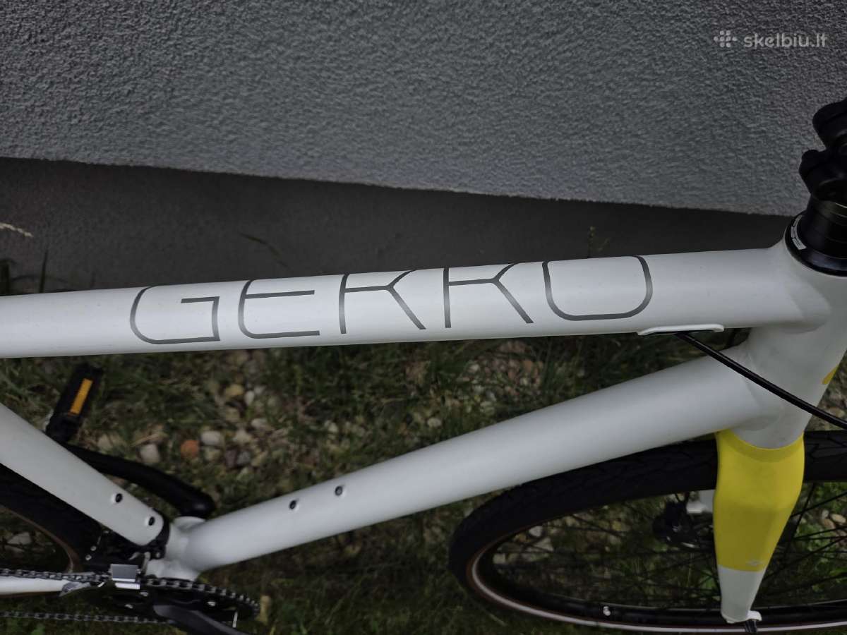 Gekko Str - nuotraukos Nr. 5