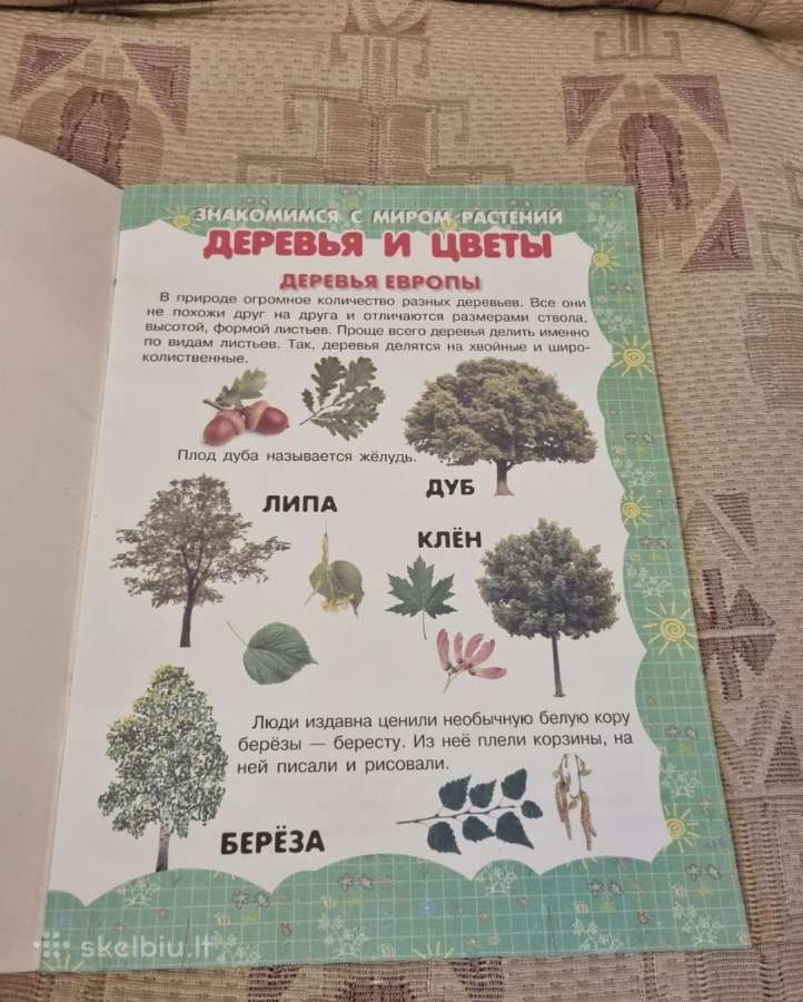 Mano pirma knyga. Medžiai ir gėlės - nuotraukos Nr. 2