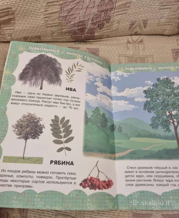 Mano pirma knyga. Medžiai ir gėlės - nuotraukos Nr. 3