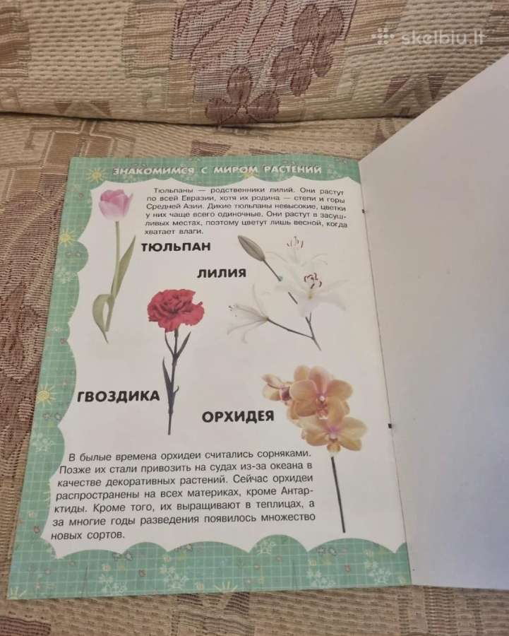 Mano pirma knyga. Medžiai ir gėlės - nuotraukos Nr. 5