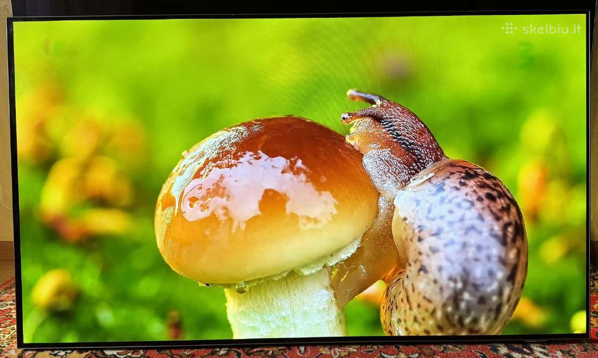 Philips 55oled805/12 naudotas televizorius - nuotraukos Nr. 2