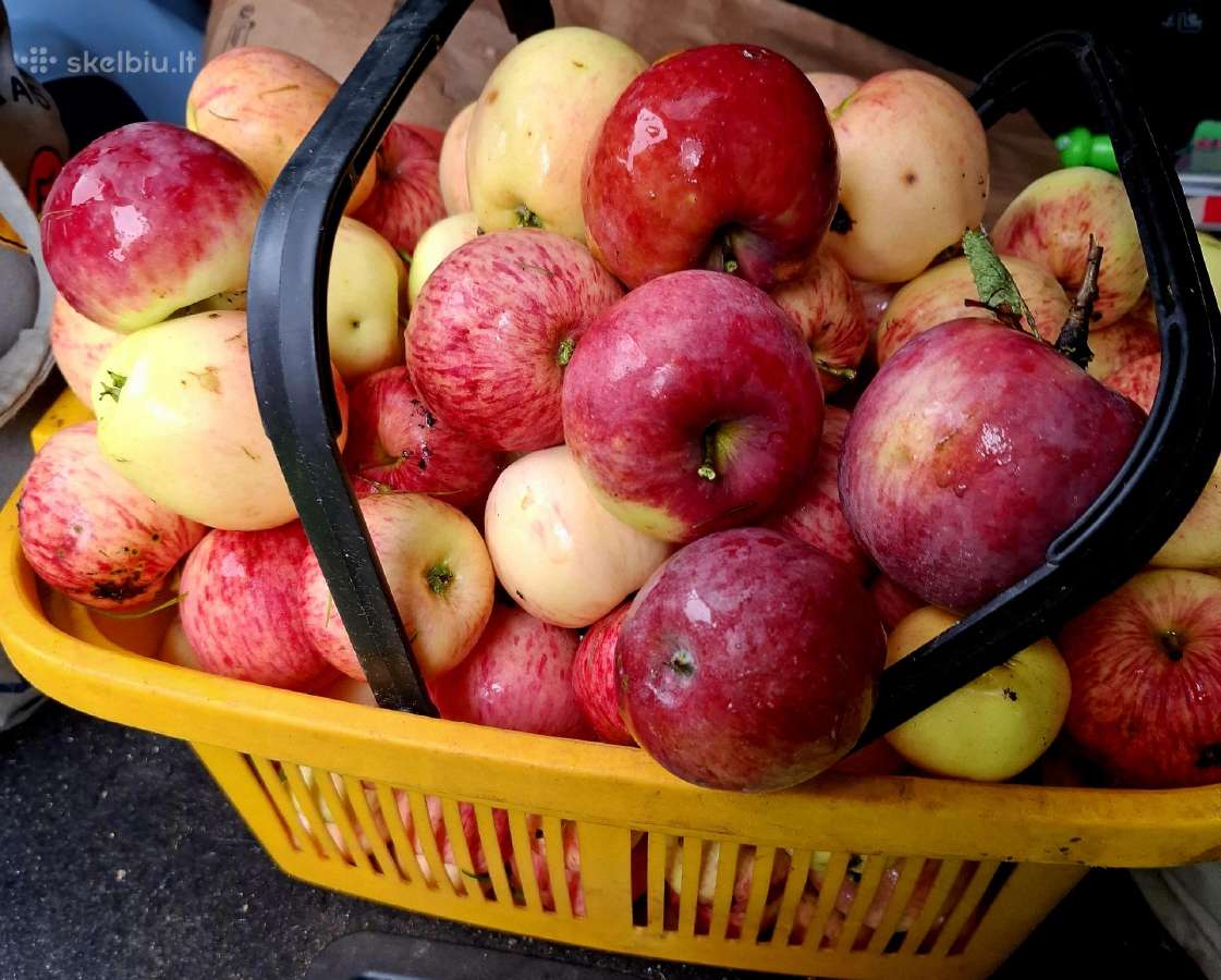 Mainom į ledus arba simboliškai į taupykle vaikam - nuotraukos Nr. 2