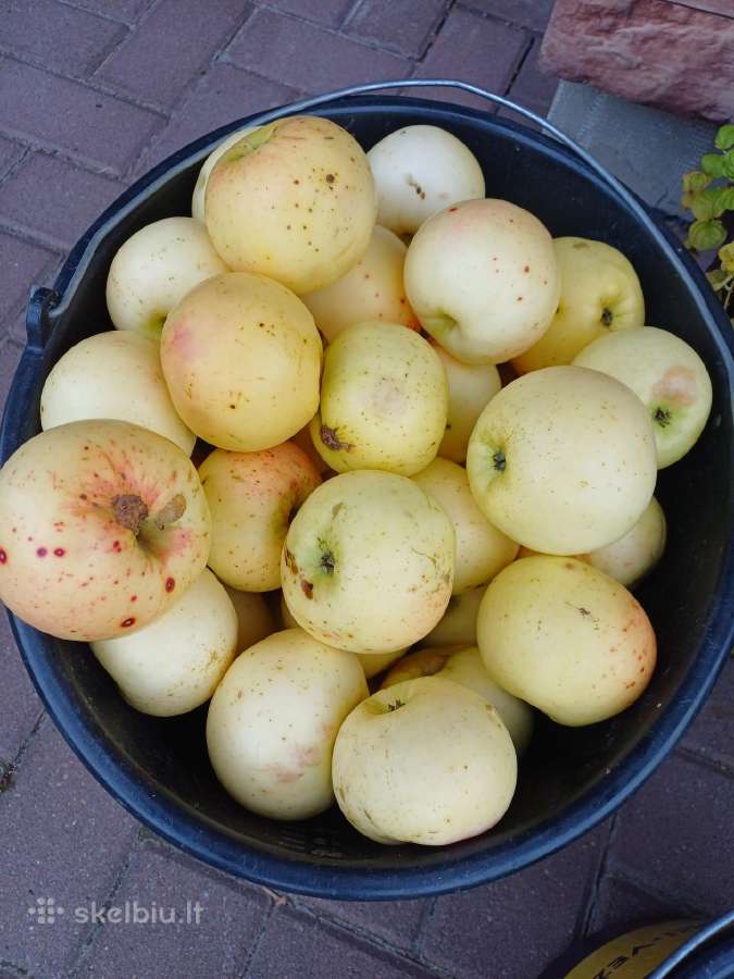 Parduodamos Ananasinių obuolių sultys - nuotraukos Nr. 5
