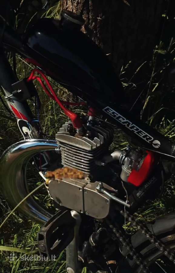 Motorinis dviratis ld100n - nuotraukos Nr. 2