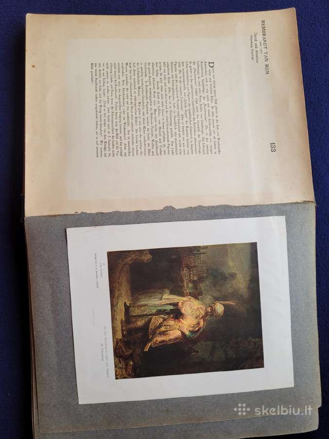 Antikvarinis reprodukcijų albumas - nuotraukos Nr. 16