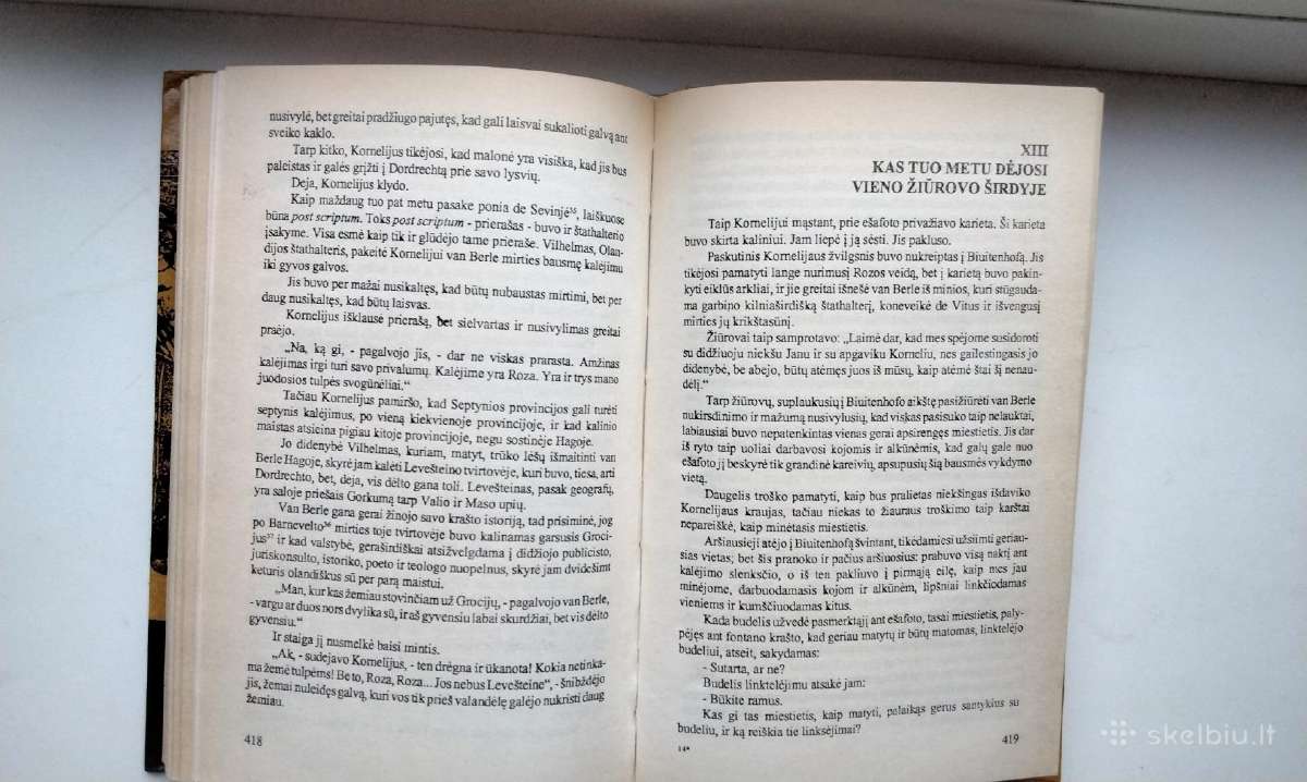 A. Diuma. Karalienė Margo. Ševaljė de Mezon Ružas - nuotraukos Nr. 16