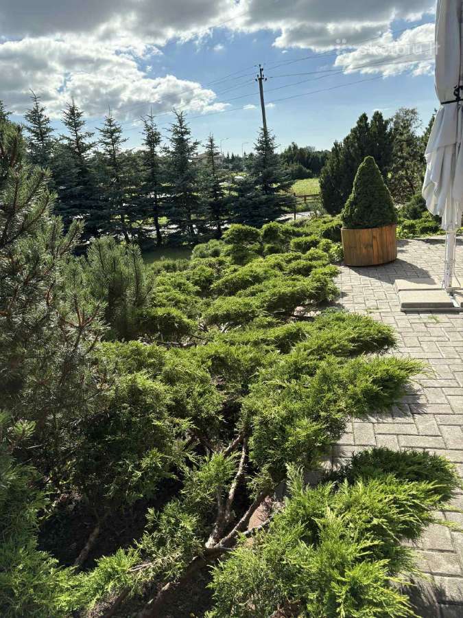 Salės nuoma pobūviams,pirties nuoma! - nuotraukos Nr. 15