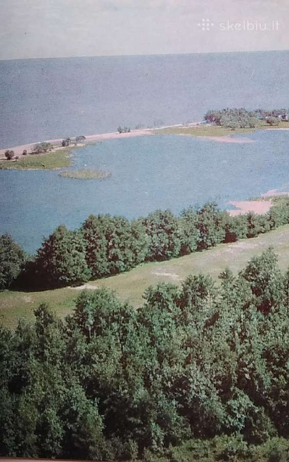 Kuršių nerija - nuotraukos Nr. 8