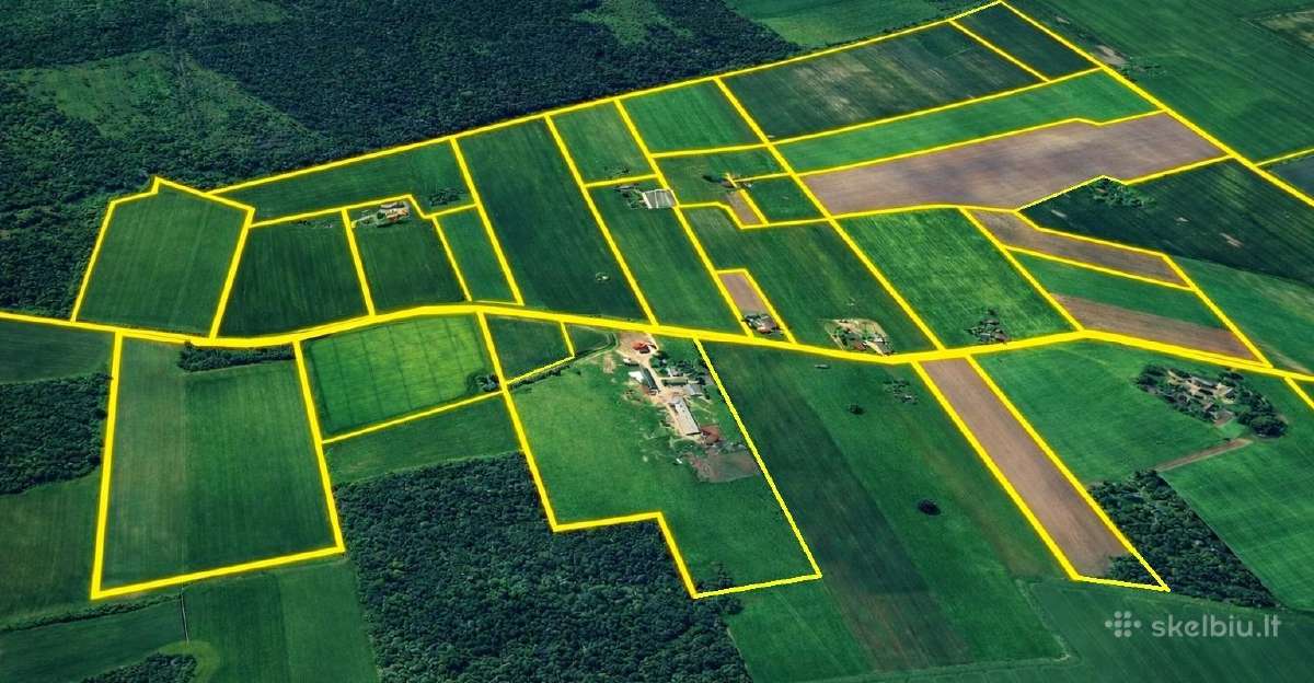 Geodeziniai matavimai Klaipėdos apskrityje - nuotraukos Nr. 2