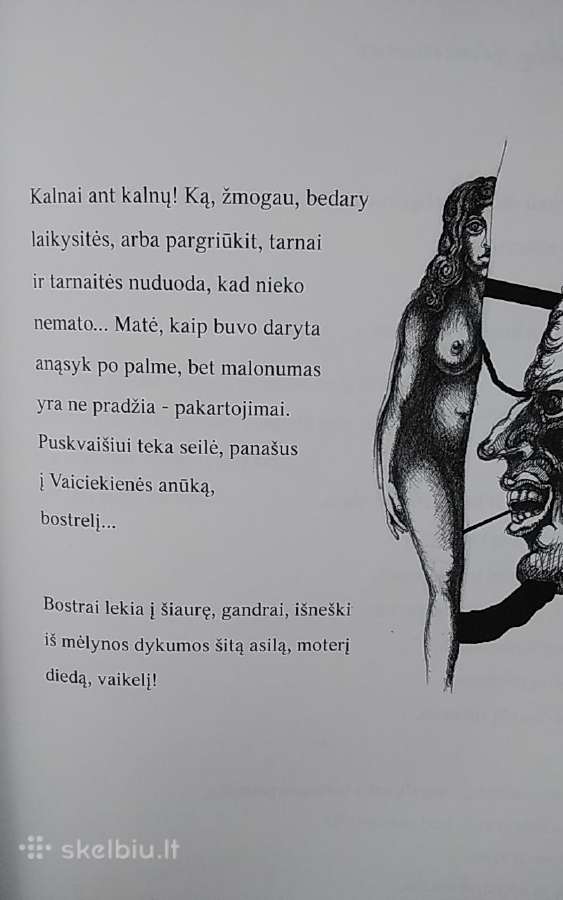 Siuita Virginijai - nuotraukos Nr. 4