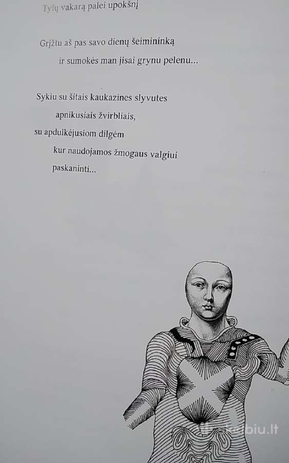 Siuita Virginijai - nuotraukos Nr. 6