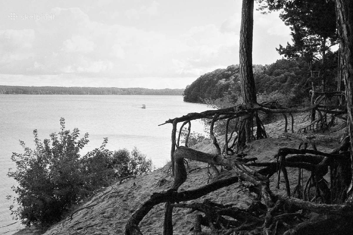 Minolta Dynax 300si - nuotraukos Nr. 10