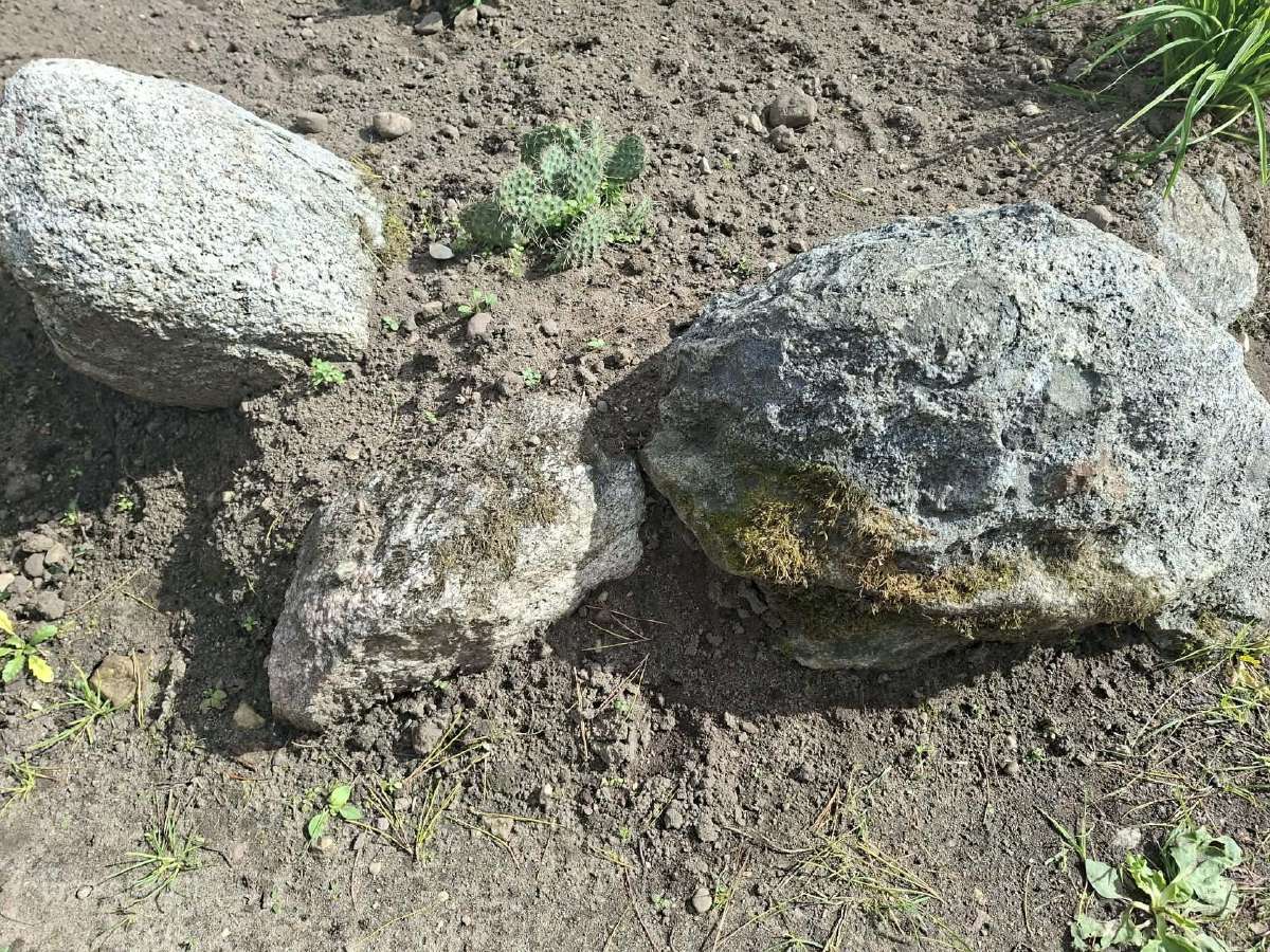 Lauko akmenys - nuotraukos Nr. 3