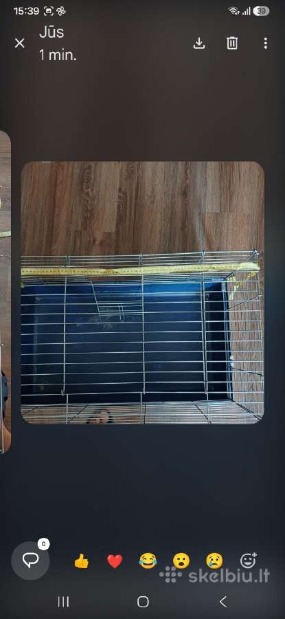 Klaipėda 15 eur. Didesnis narvelis graužikui, - nuotraukos Nr. 6