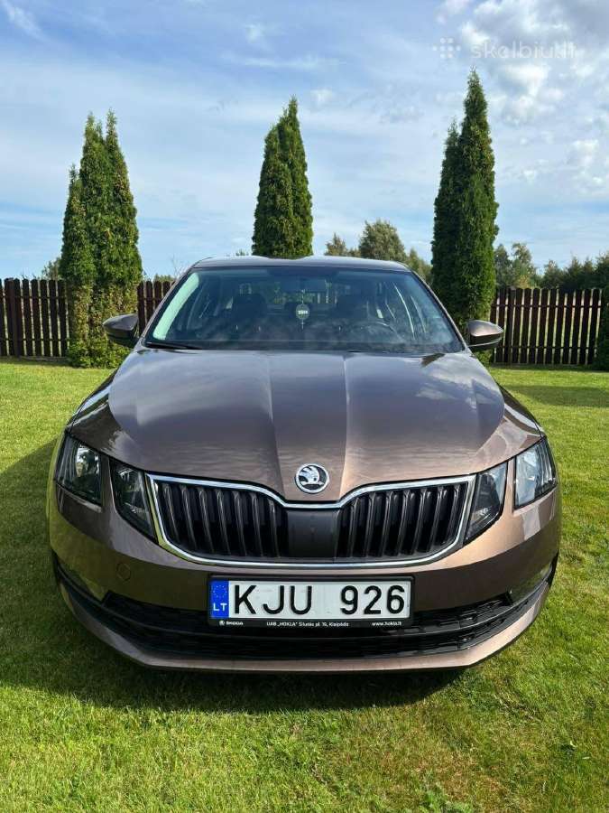 Parduodama su maža rida Škoda Octavia - nuotraukos Nr. 3
