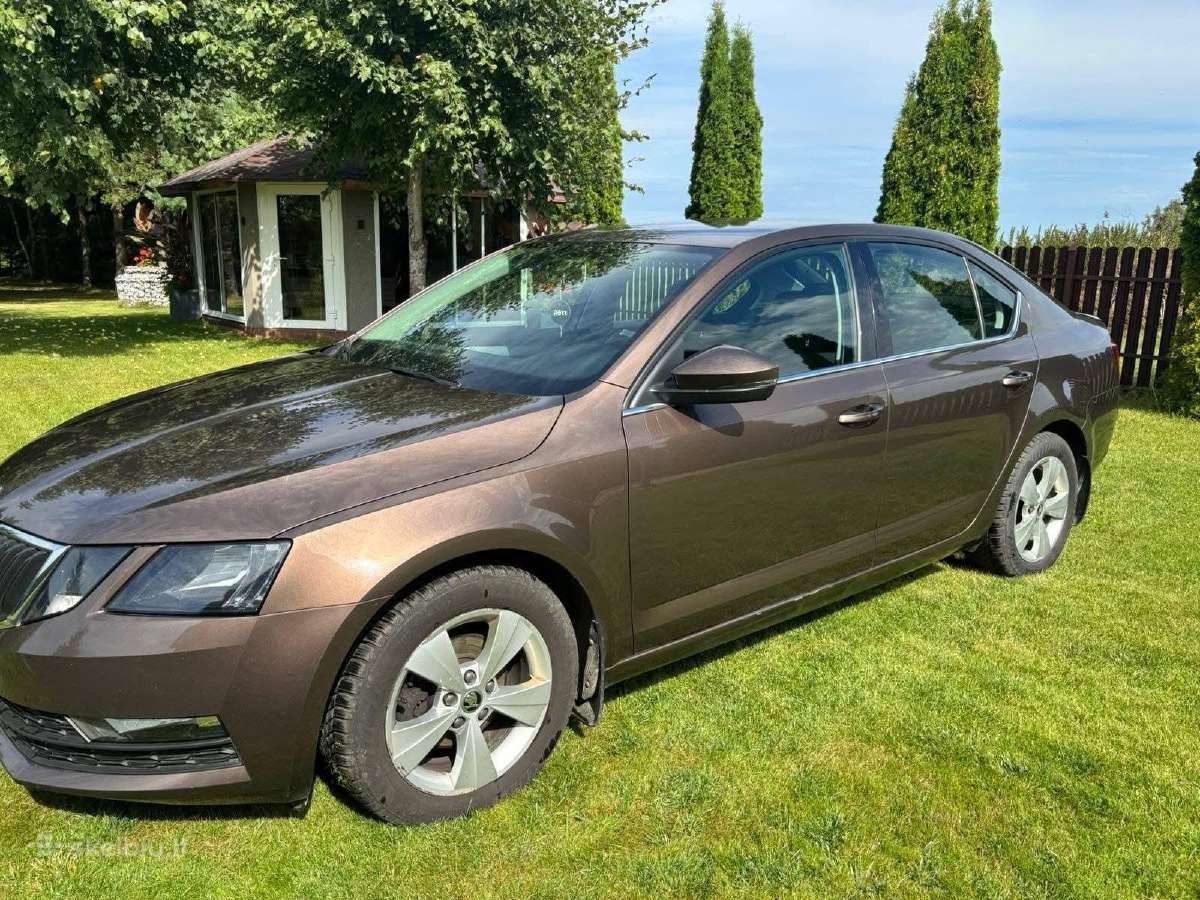 Parduodama su maža rida Škoda Octavia - nuotraukos Nr. 12