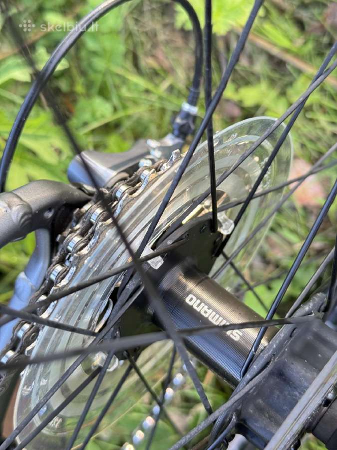 Gravel Gekko Flow Grv Shimano Claris 54cm M dydis - nuotraukos Nr. 13
