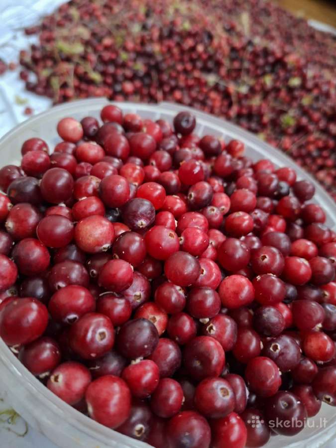 Spanguolės po 6 eur už litrą - nuotraukos Nr. 2