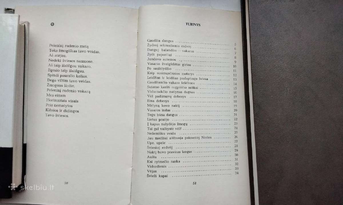 V.skripka. Dangiškos eglės(1969).tėvų namai(1988 - nuotraukos Nr. 5