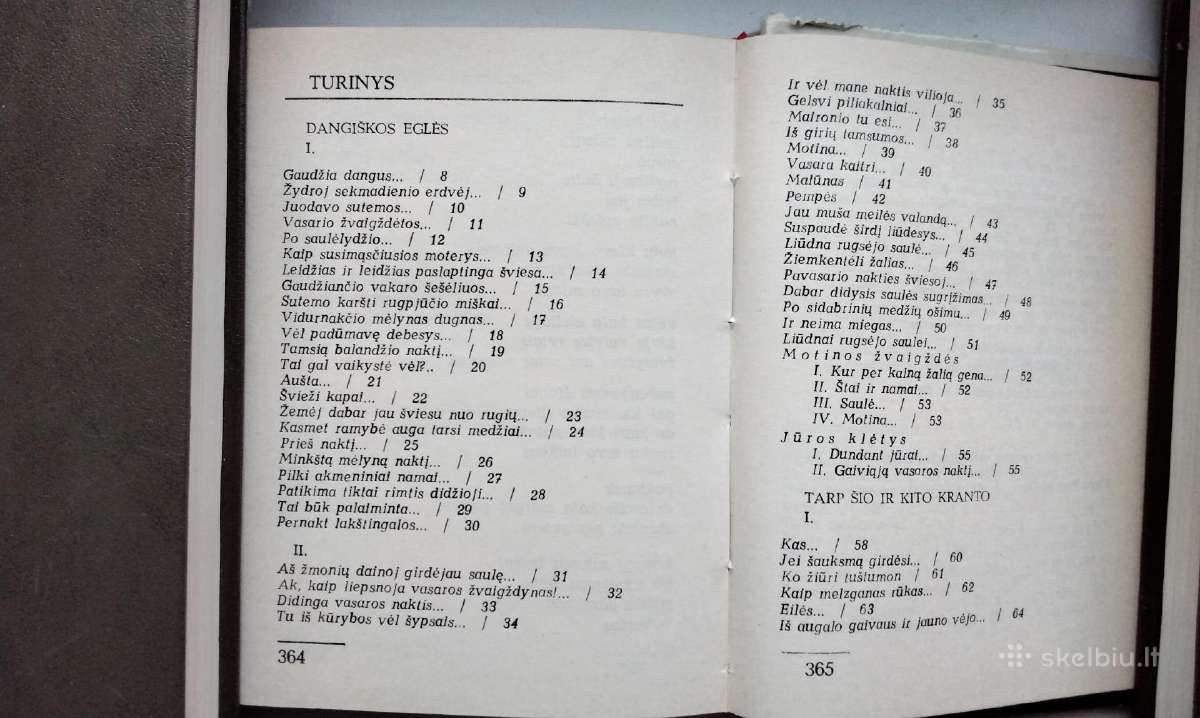 V.skripka. Dangiškos eglės(1969).tėvų namai(1988 - nuotraukos Nr. 11