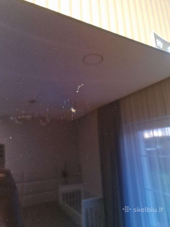 Sony TV 55 Oled - nuotraukos Nr. 2