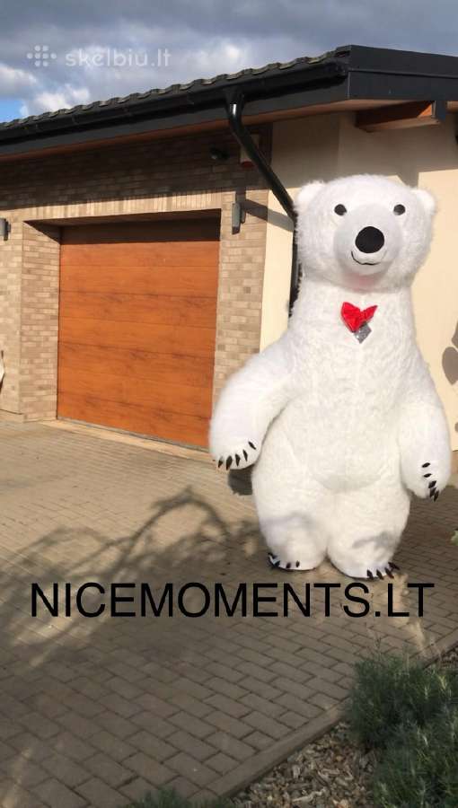 Nice Meškis – baltoji meška sveikinimams - nuotraukos Nr. 2