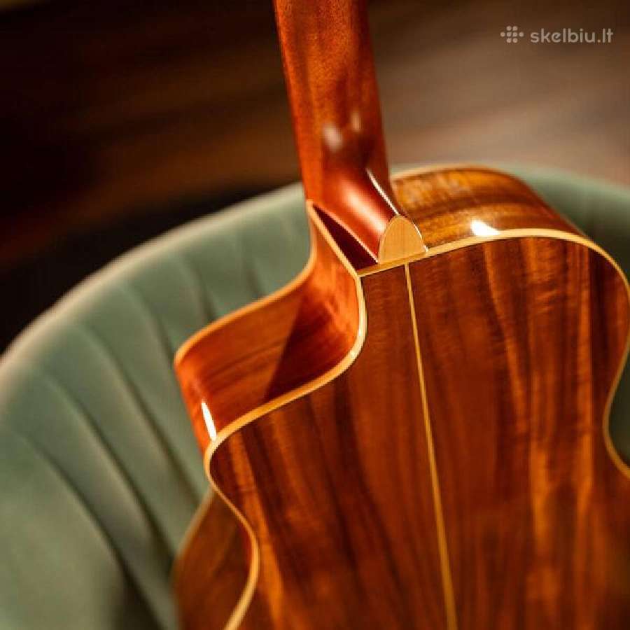 Washburn Bella Tono Allure Sc56s gitara - nuotraukos Nr. 2