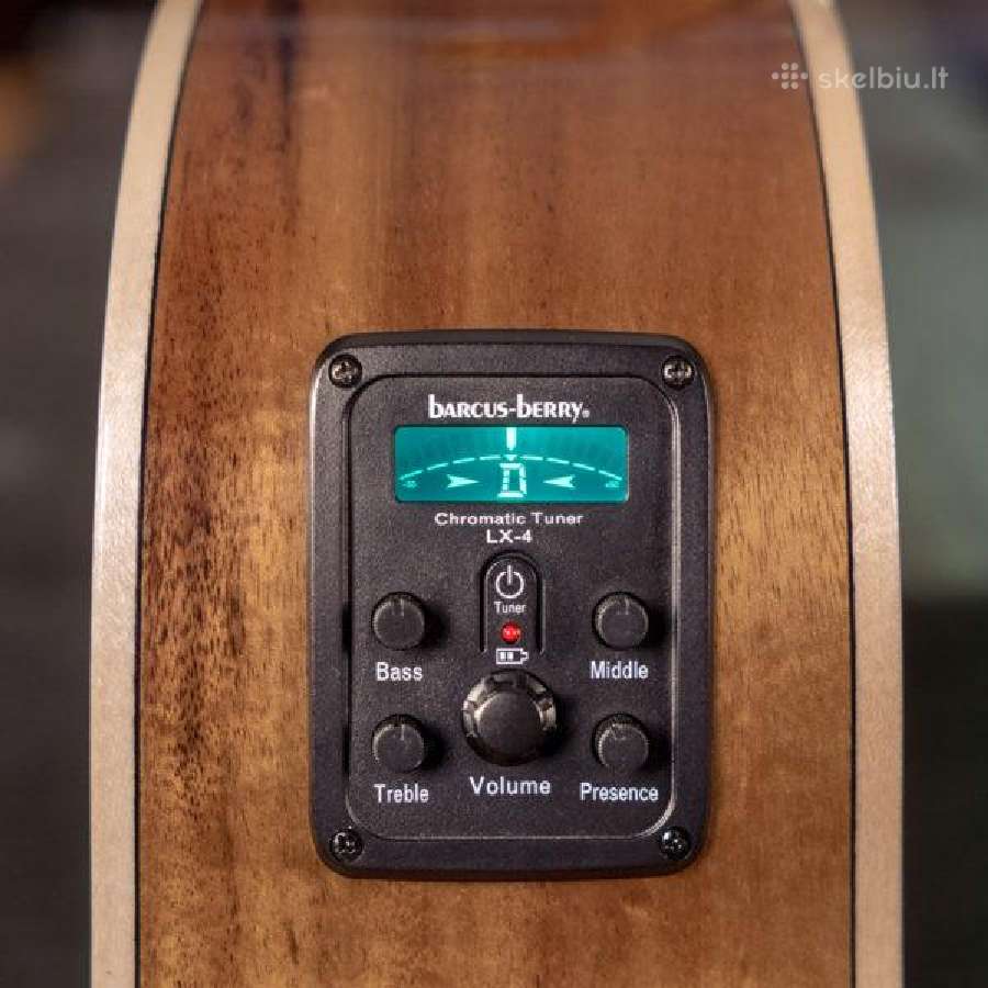 Washburn Bella Tono Allure Sc56s gitara - nuotraukos Nr. 3