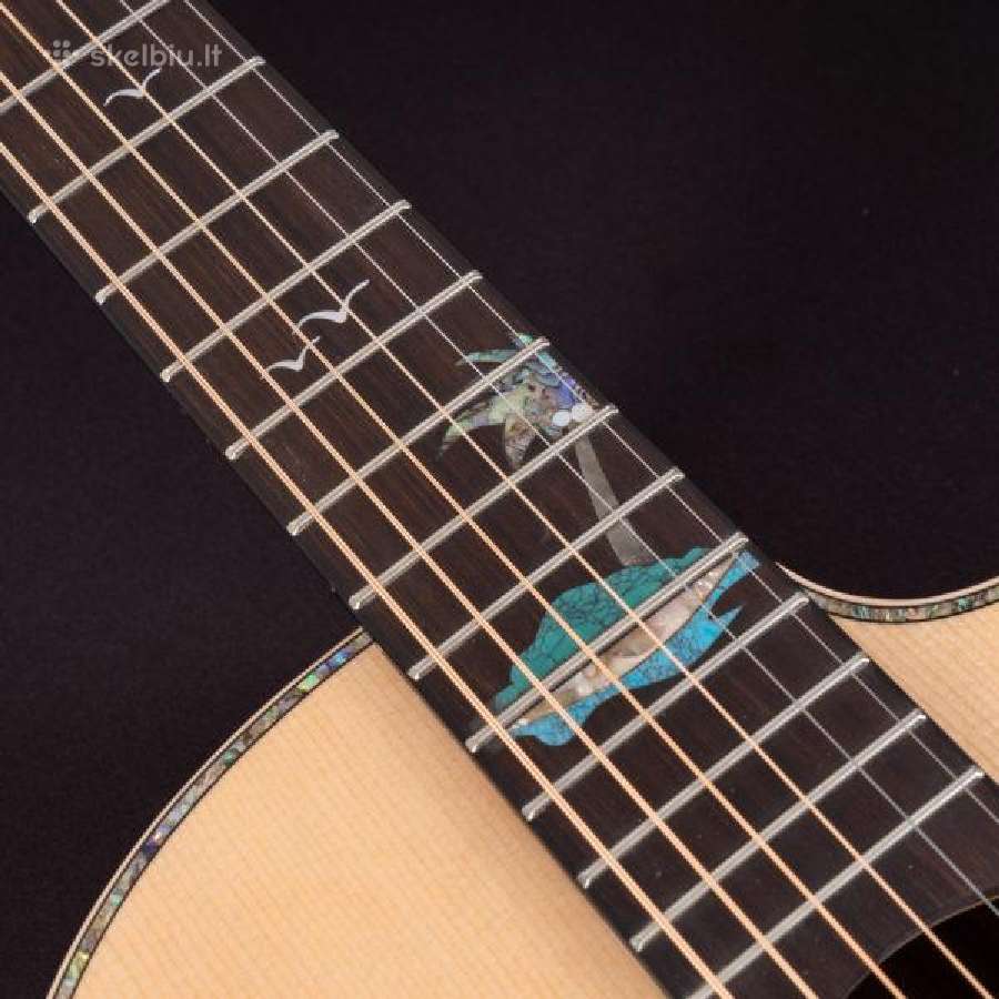 Washburn Bella Tono Allure Sc56s gitara - nuotraukos Nr. 8